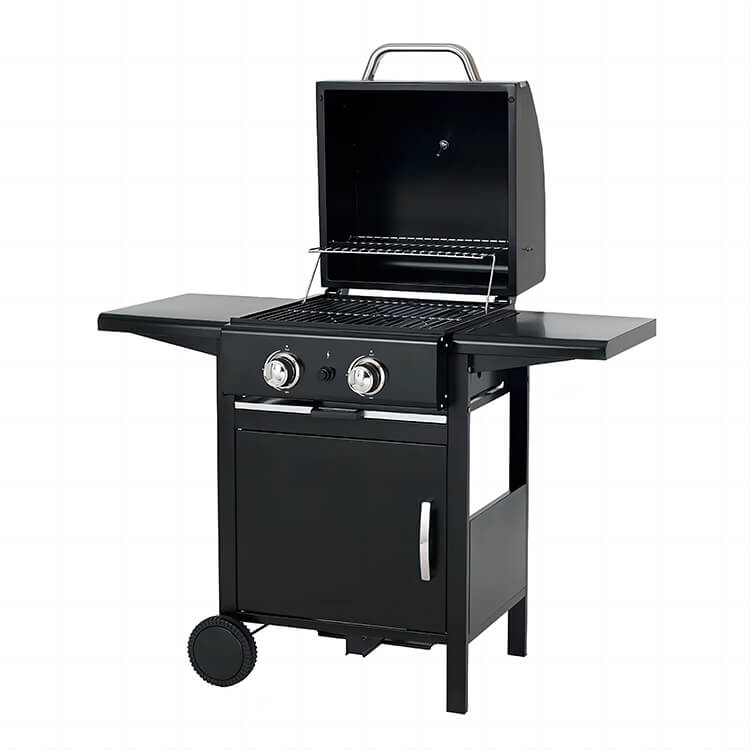 Griglia per barbecue portatile a gas da giardino - Beellen