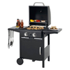 Griglia per barbecue portatile a gas da giardino - Beellen